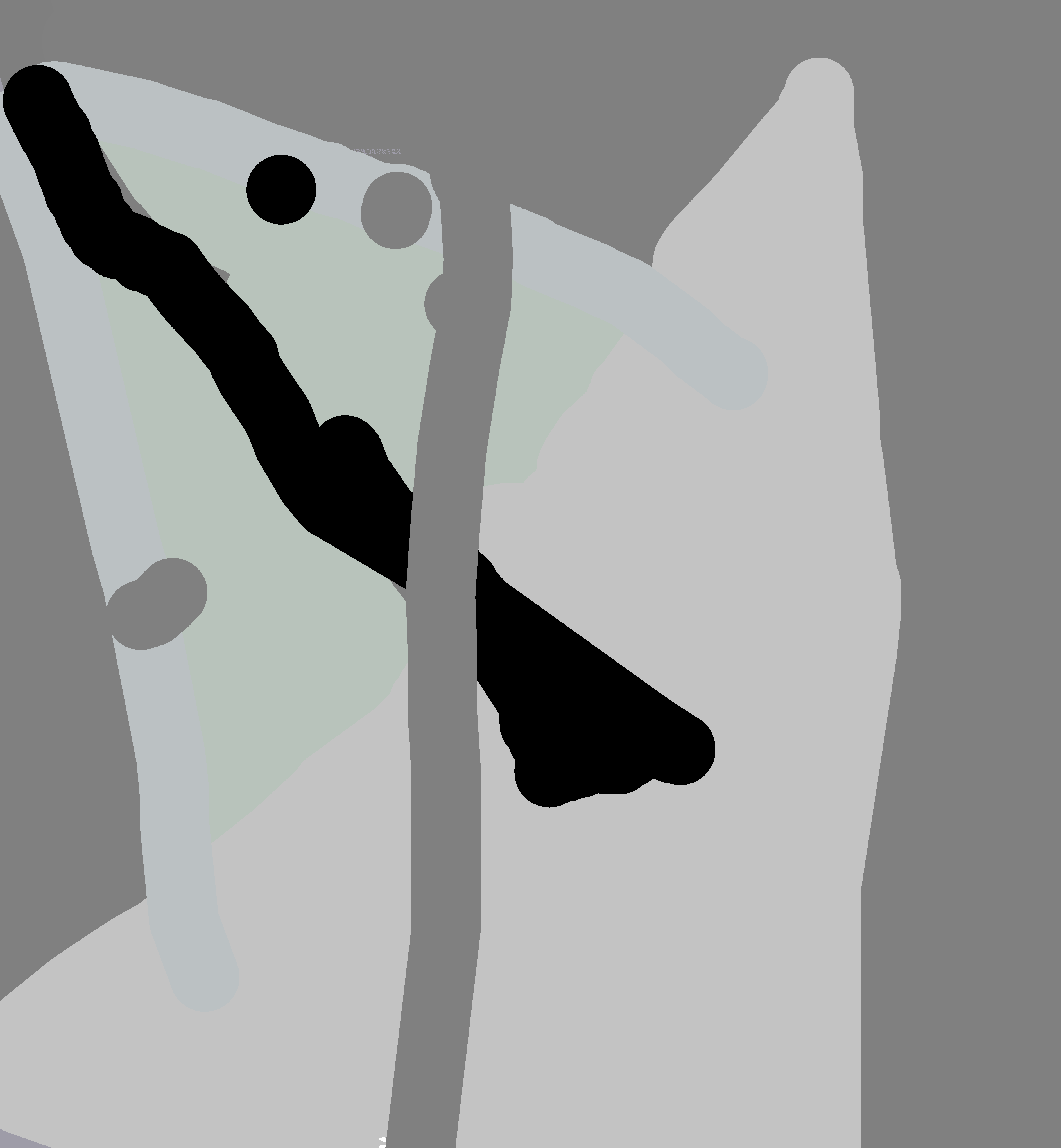 ghostdog